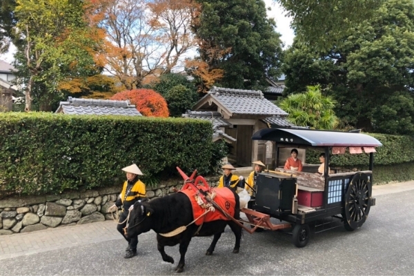 遊び・体験を楽しむ旅