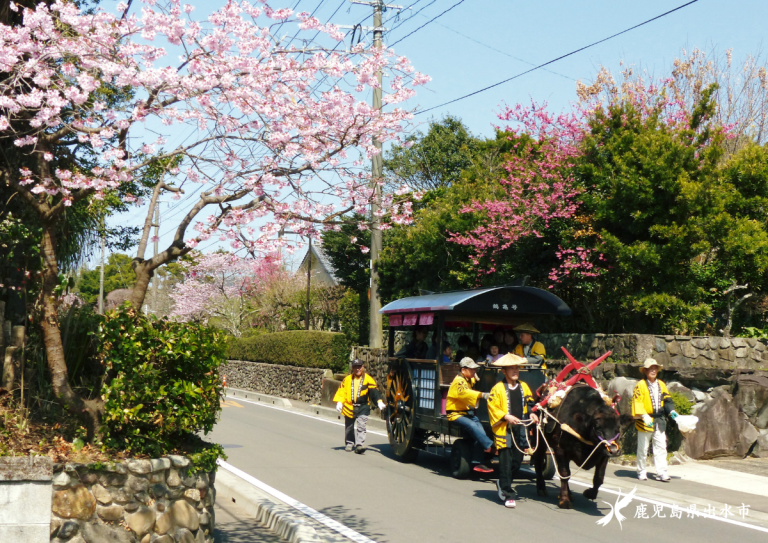 早春の熊陳馬場その１