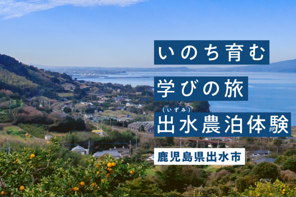 出水農泊体験ホームページについて