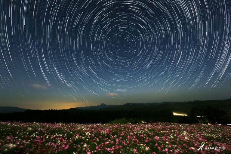 上場高原コスモス園 星夜