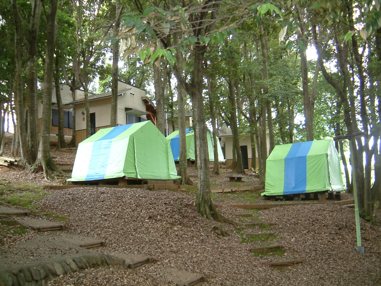 たかのやま公園・キャンプ場（高野山公園）