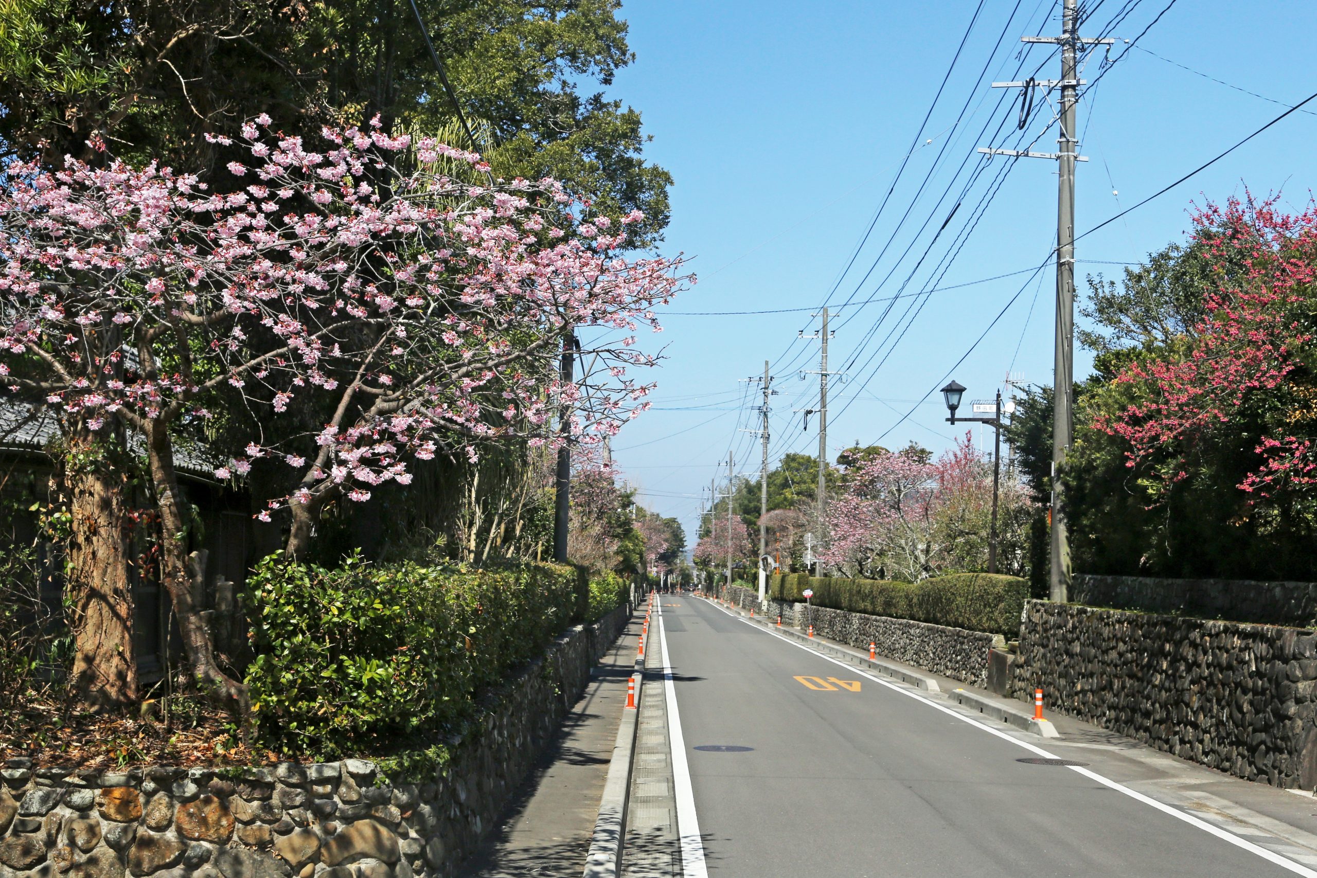 野田郷歴史街道