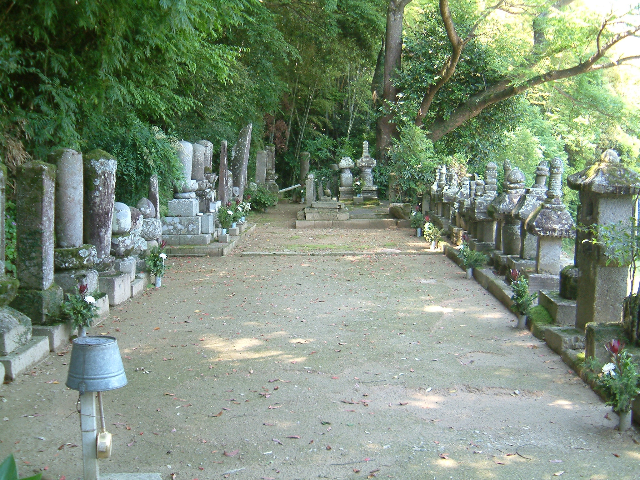 薩州島津家の墓