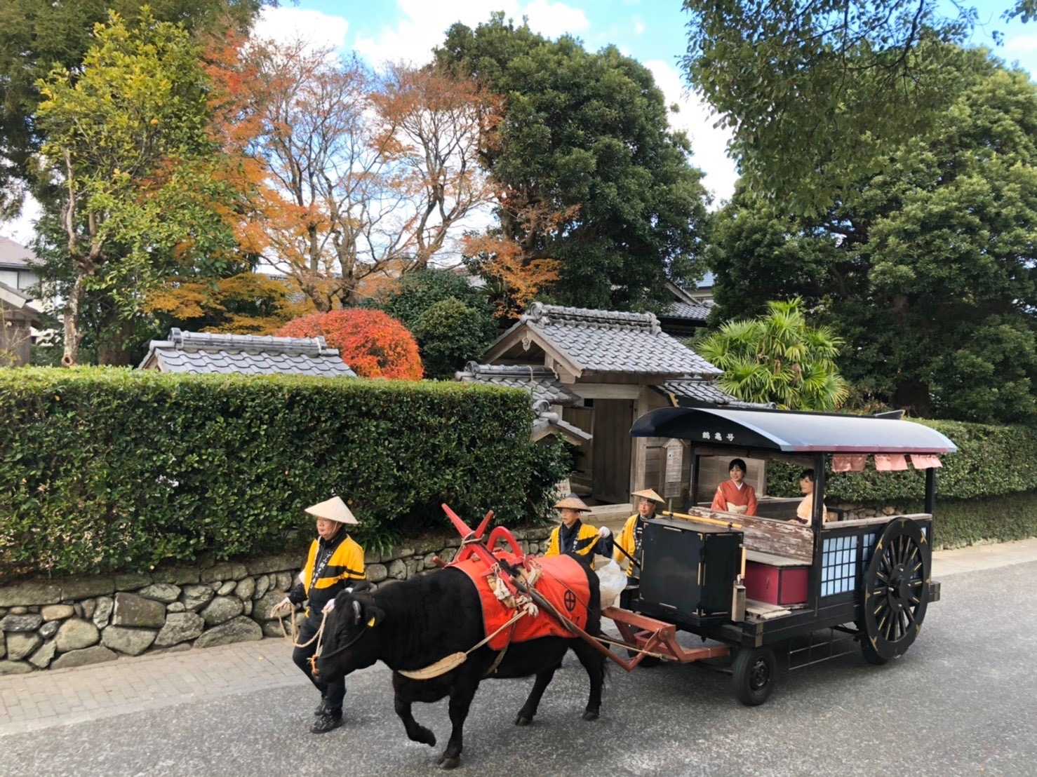 いずみ観光牛車