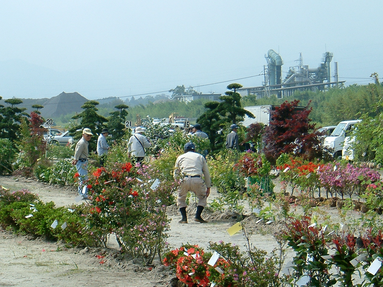 植木市（高尾野）