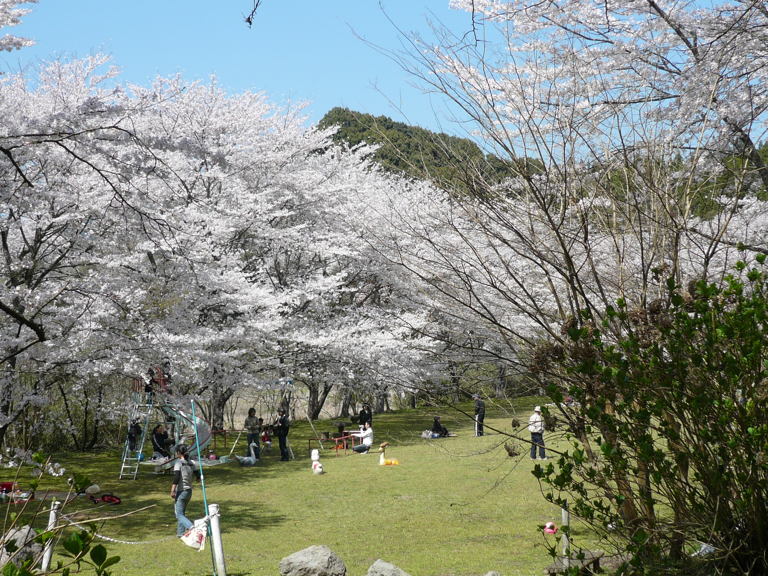 高川ダム 公園