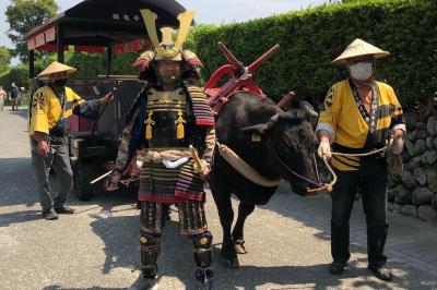 出水麓体験の日～着物・浴衣・甲冑・牛車体験の日～