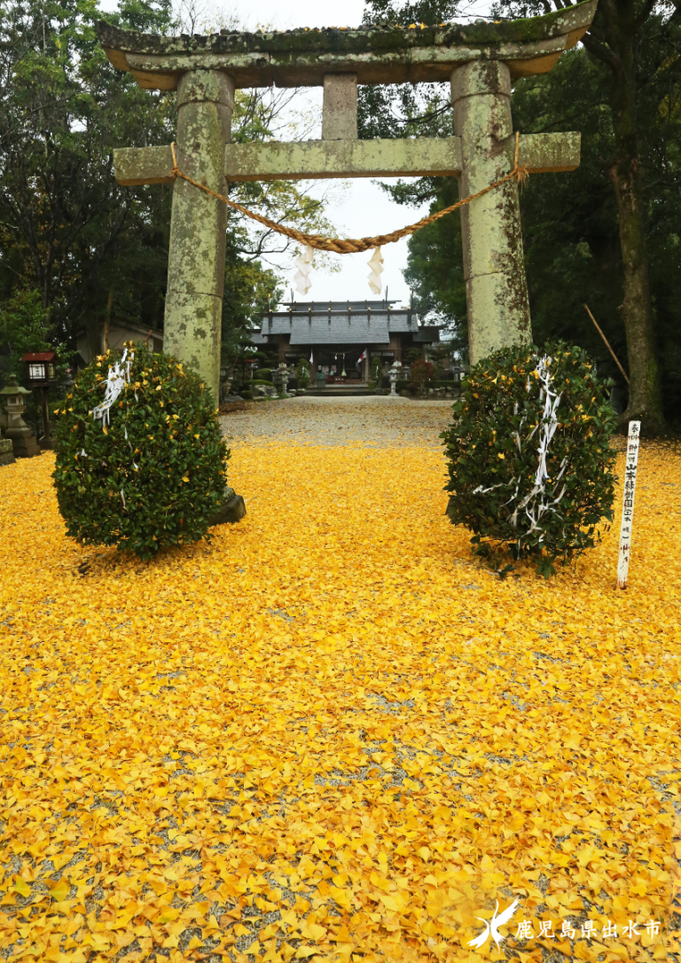 秋の諏訪神社