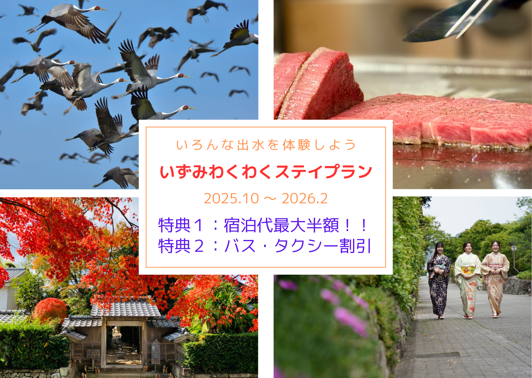 いずみわくわくステイプラン2025