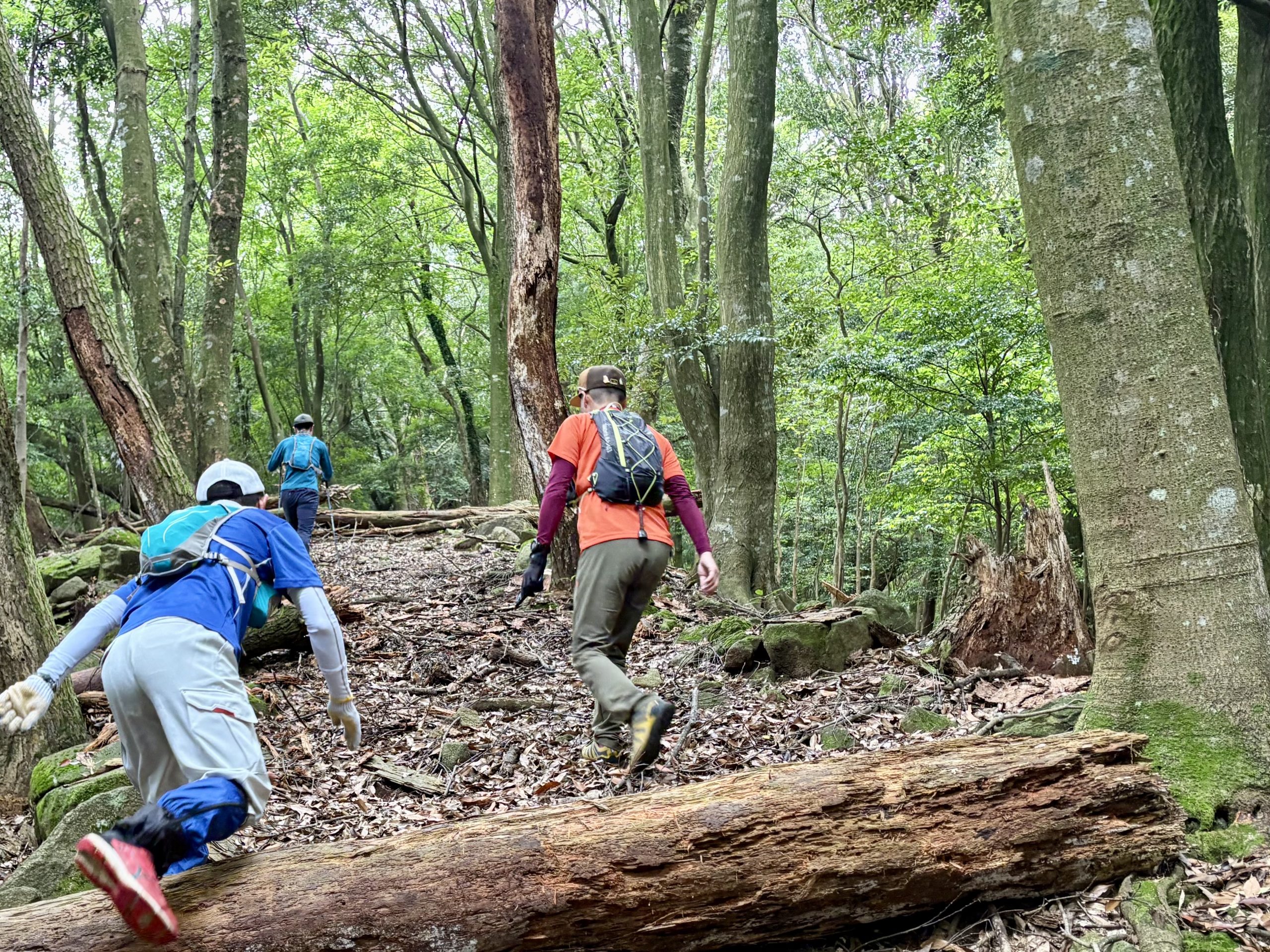 【オルレ・山岳ガイド】九州オルレ出水コース・矢筈岳・紫尾山等